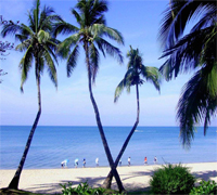 吉報(bào)海花盛景
